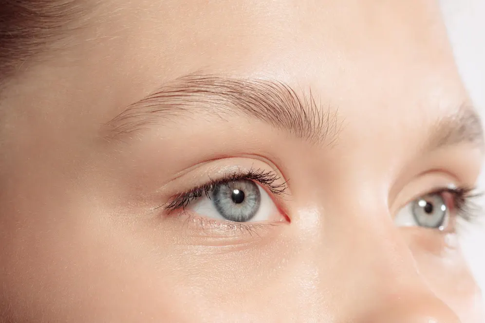 Offrez un soin cils et sourcils